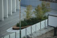 Imagine atasata: 19_0929_2506_s.jpg